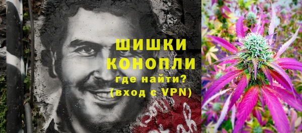 гидра Белокуриха