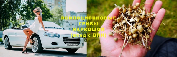 гидра Белокуриха