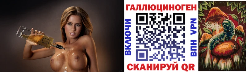Галлюциногенные грибы Psilocybe  Полесск 